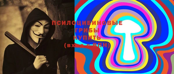 индика Приозерск