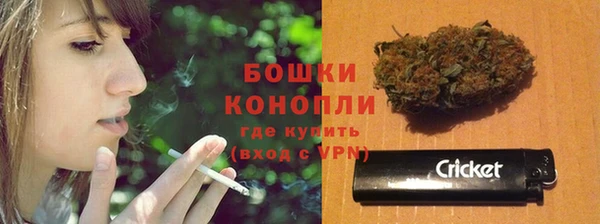 индика Приозерск