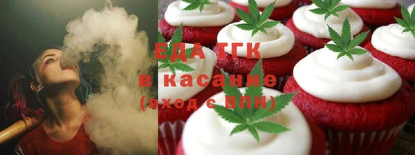 индика Приозерск