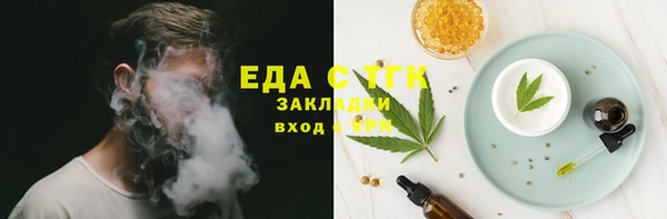 индика Приозерск