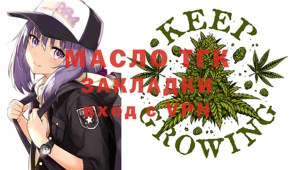 индика Приозерск