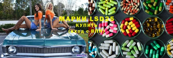 прущие грибы Пролетарск