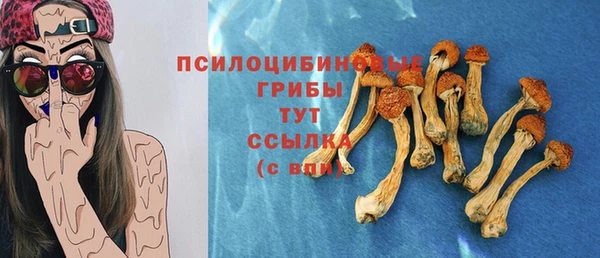 прущие грибы Пролетарск