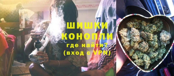 прущие грибы Пролетарск