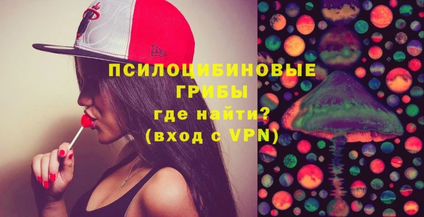 индика Приозерск