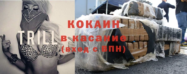 прущие грибы Пролетарск