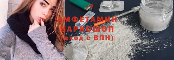 индика Приозерск