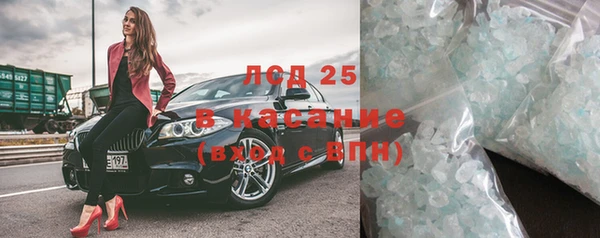 прущие грибы Пролетарск