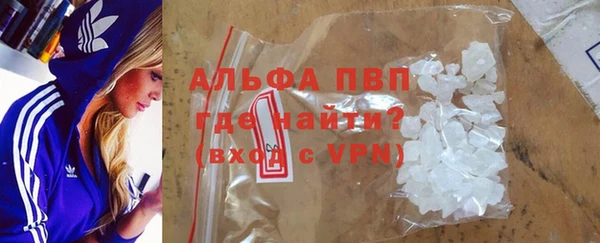индика Приозерск