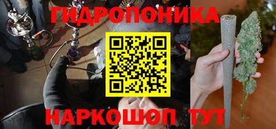 ПСИЛОЦИБИНОВЫЕ ГРИБЫ Тверь