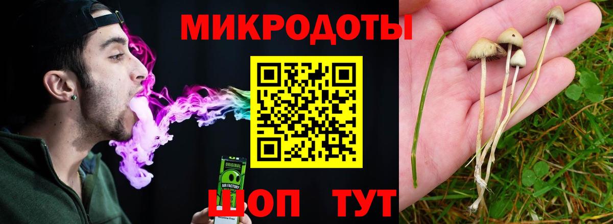 Галлюциногенные грибы MAGIC MUSHROOMS  Вход с VPN  Псилоцибиновые грибы MAGIC MUSHROOMS  Рославль 